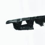wing tips 2