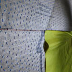 HGSA Image1 1